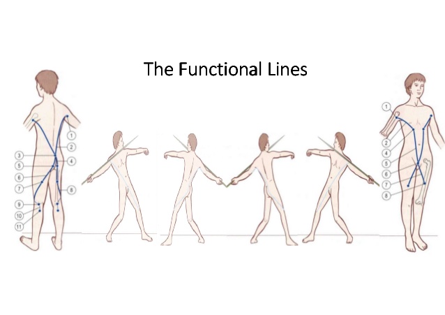 the_functional_line