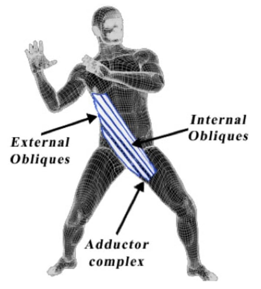 Functional Training VS CrossFit Body Weight